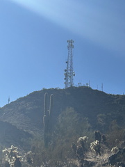 IMG 0642