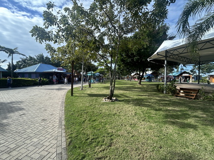 IMG 0732