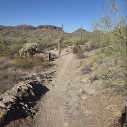 San Tan, Hedgehog, and Moonlight Trail Loop at San Tan Mountain Regional Park, Arizona